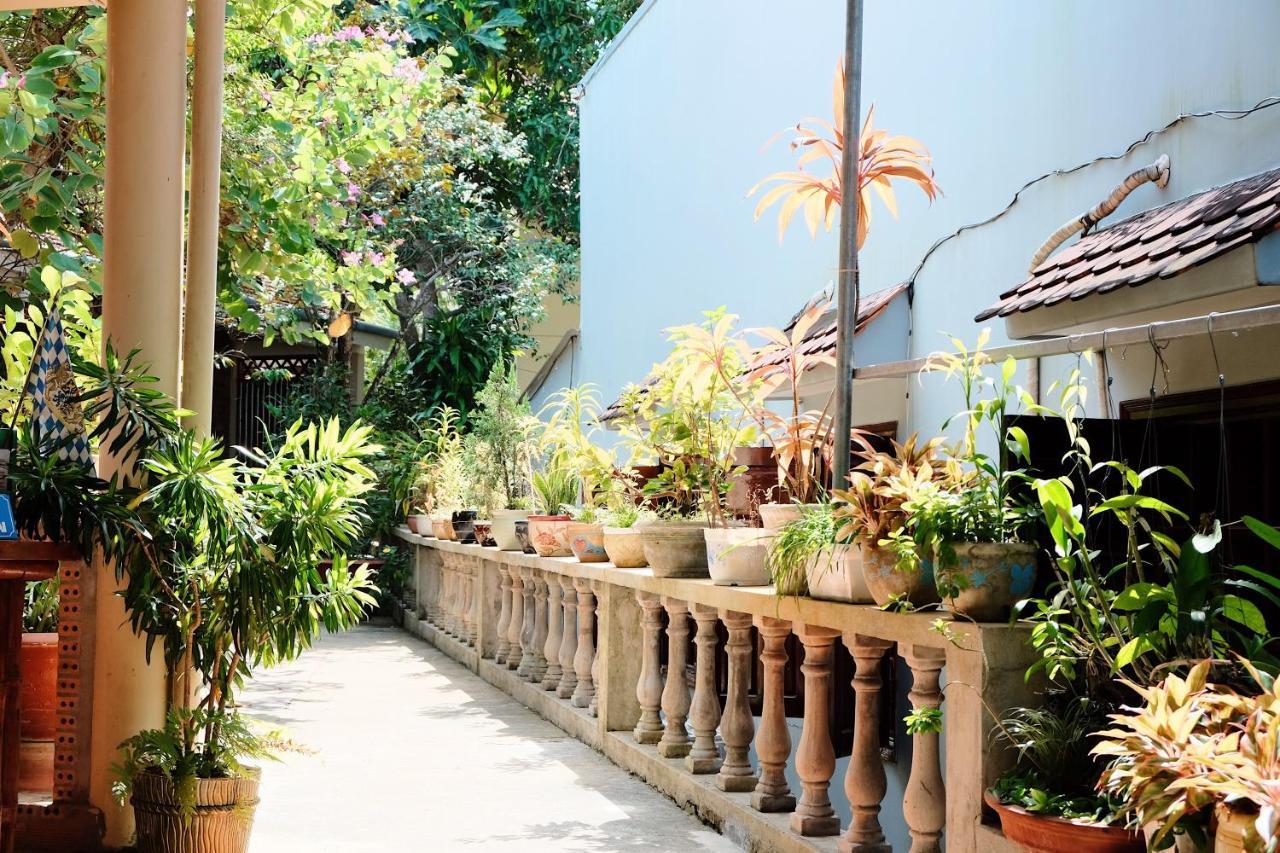 The Palm Tree Guesthouse Phu Quoc Exteriér fotografie
